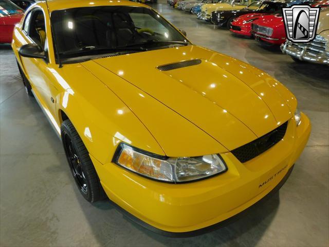 used 1999 Ford Mustang car, priced at $20,000