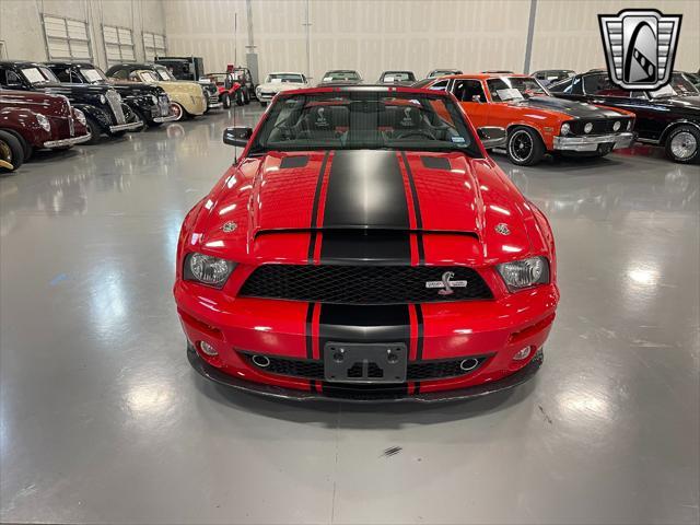 used 2008 Ford Shelby GT500 car, priced at $95,000