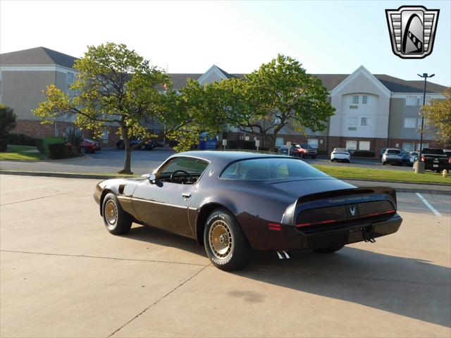 used 1981 Pontiac Firebird car, priced at $36,000