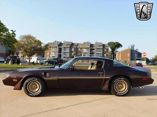 used 1981 Pontiac Firebird car, priced at $36,000