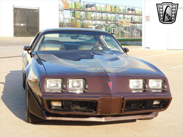 used 1981 Pontiac Firebird car, priced at $36,000