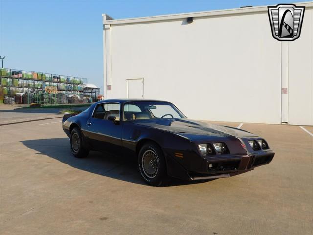 used 1981 Pontiac Firebird car, priced at $36,000