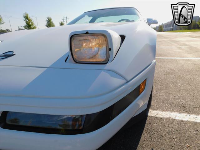 used 1995 Chevrolet Corvette car, priced at $19,000