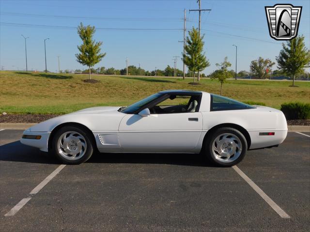 used 1995 Chevrolet Corvette car, priced at $19,000