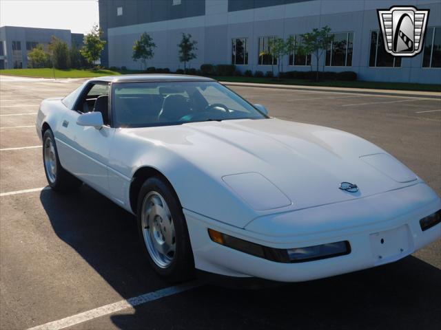 used 1995 Chevrolet Corvette car, priced at $19,000