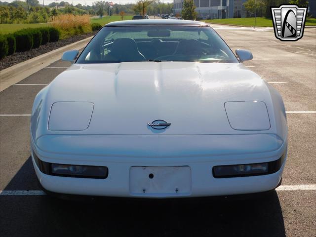 used 1995 Chevrolet Corvette car, priced at $19,000