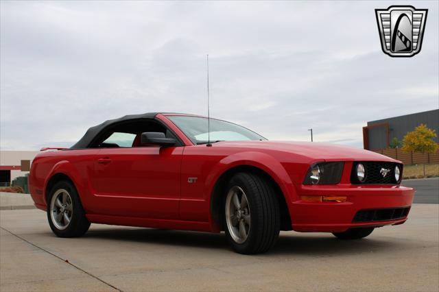 used 2006 Ford Mustang car, priced at $33,000