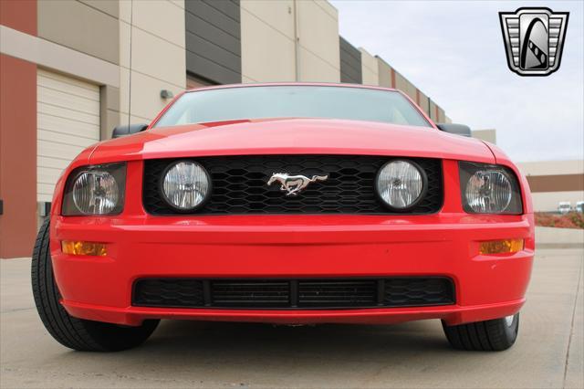 used 2006 Ford Mustang car, priced at $33,000