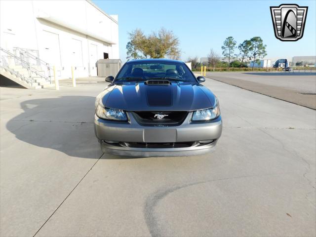 used 2004 Ford Mustang car, priced at $33,000