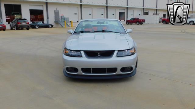 used 2003 Ford Mustang car, priced at $29,000