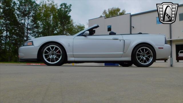 used 2003 Ford Mustang car, priced at $29,000