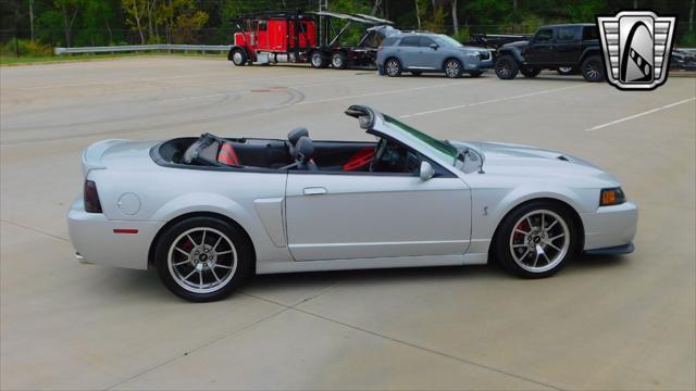 used 2003 Ford Mustang car, priced at $29,000