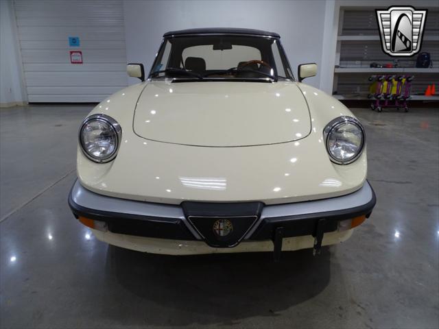 used 1984 Alfa Romeo Spider car, priced at $14,000
