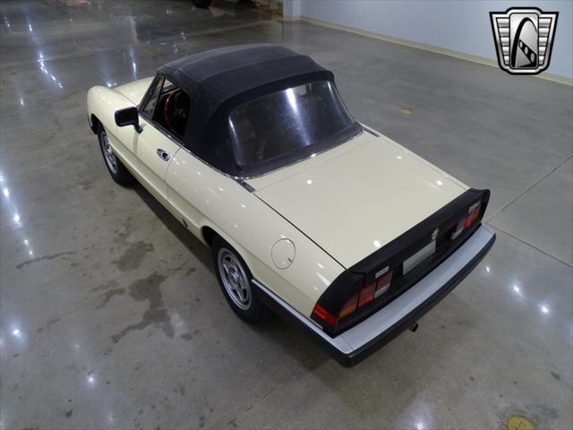used 1984 Alfa Romeo Spider car, priced at $14,000