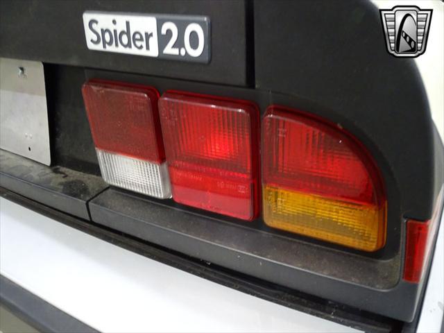 used 1984 Alfa Romeo Spider car, priced at $14,000