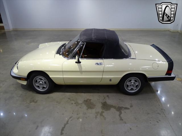 used 1984 Alfa Romeo Spider car, priced at $14,000
