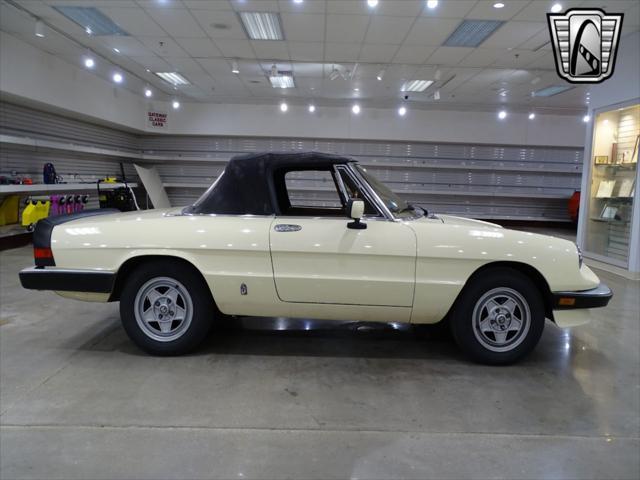 used 1984 Alfa Romeo Spider car, priced at $14,000