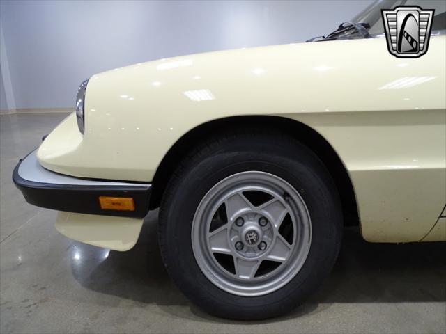 used 1984 Alfa Romeo Spider car, priced at $14,000