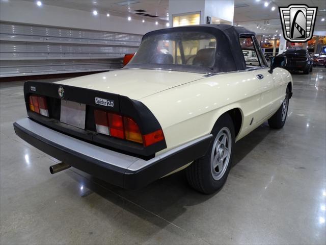 used 1984 Alfa Romeo Spider car, priced at $14,000