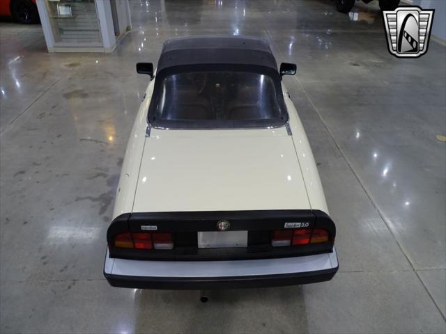 used 1984 Alfa Romeo Spider car, priced at $14,000