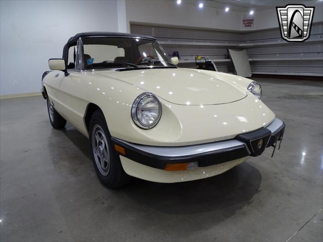 used 1984 Alfa Romeo Spider car, priced at $14,000