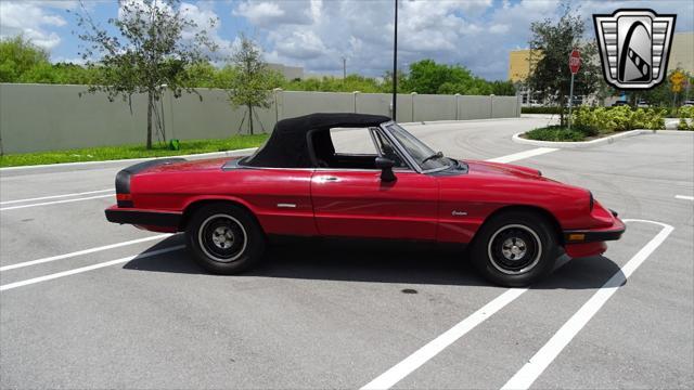 used 1986 Alfa Romeo Spider car, priced at $10,500