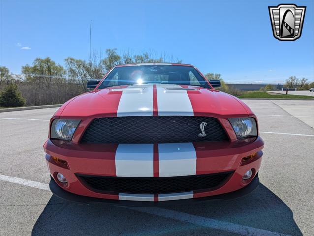used 2007 Ford Shelby GT500 car, priced at $50,000