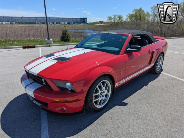used 2007 Ford Shelby GT500 car, priced at $50,000