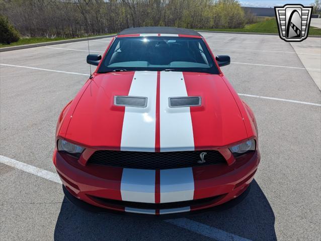 used 2007 Ford Shelby GT500 car, priced at $50,000