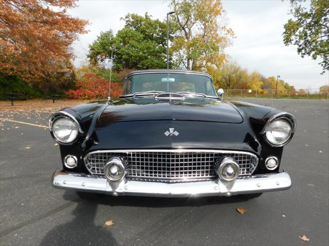 used 1955 Ford Thunderbird car, priced at $36,000