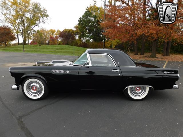 used 1955 Ford Thunderbird car, priced at $36,000