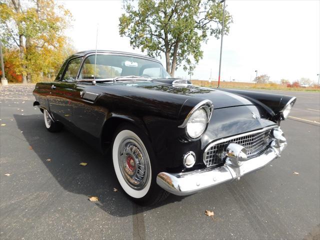 used 1955 Ford Thunderbird car, priced at $36,000