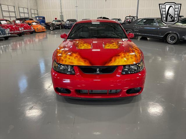 used 2003 Ford Mustang car, priced at $41,000