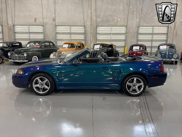 used 2004 Ford Mustang car, priced at $45,000