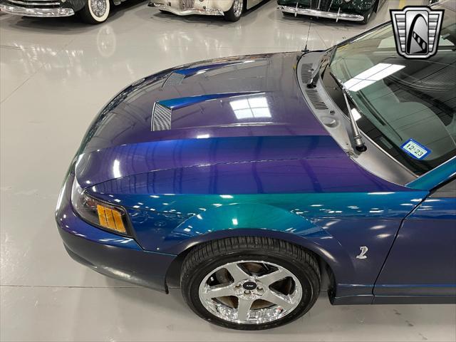 used 2004 Ford Mustang car, priced at $45,000