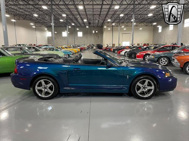 used 2004 Ford Mustang car, priced at $45,000