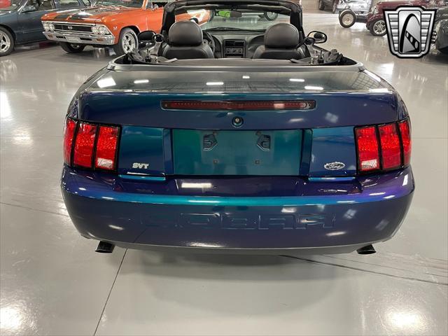 used 2004 Ford Mustang car, priced at $45,000