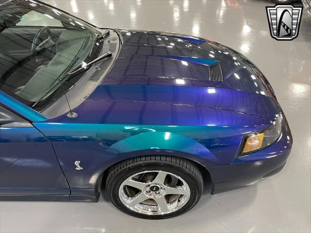 used 2004 Ford Mustang car, priced at $45,000