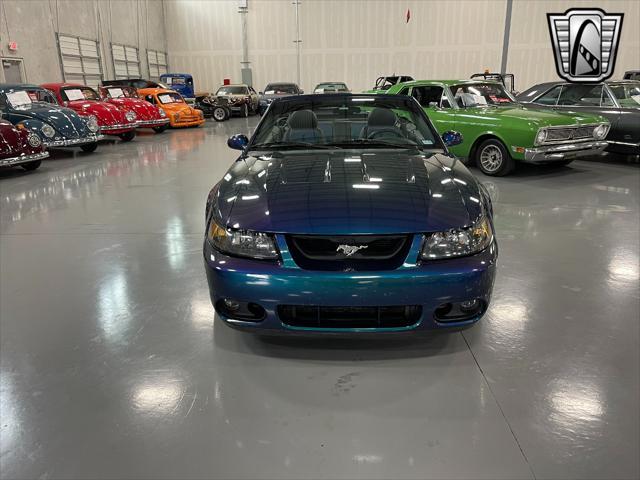 used 2004 Ford Mustang car, priced at $45,000