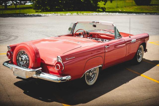 used 1956 Ford Thunderbird car, priced at $64,000