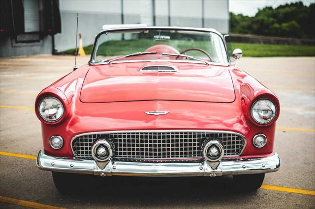 used 1956 Ford Thunderbird car, priced at $64,000