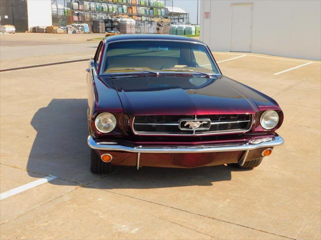 used 1965 Ford Mustang car, priced at $50,000