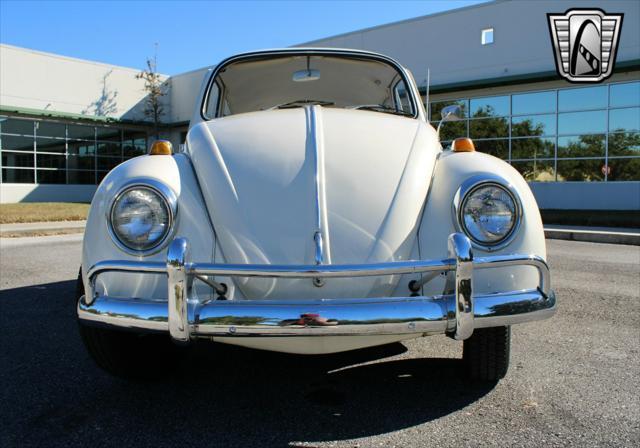 used 1967 Volkswagen Beetle (Pre-1980) car, priced at $14,500