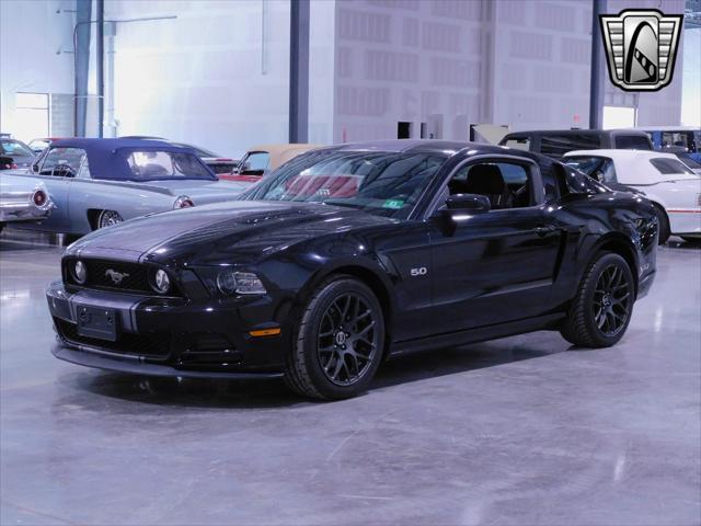 used 2014 Ford Mustang car, priced at $36,000