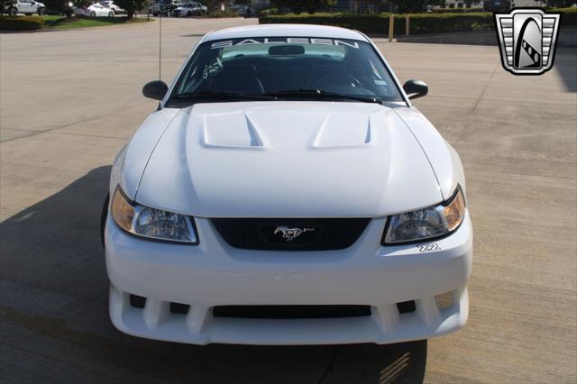 used 1999 Ford Mustang car, priced at $33,000