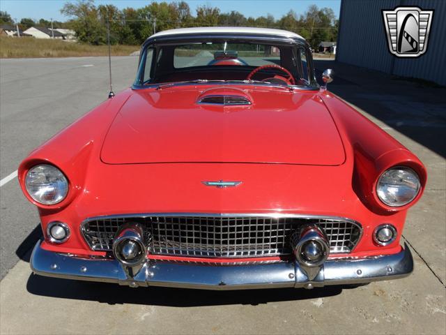 used 1956 Ford Thunderbird car, priced at $66,000