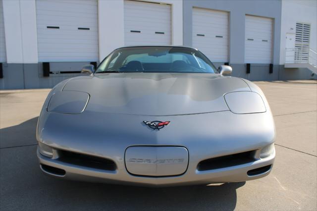 used 1999 Chevrolet Corvette car, priced at $15,000