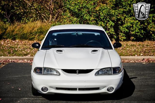 used 1997 Ford Mustang car, priced at $23,000