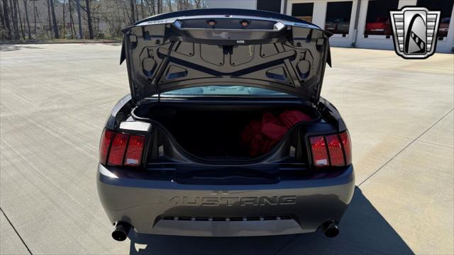 used 2003 Ford Mustang car, priced at $33,000