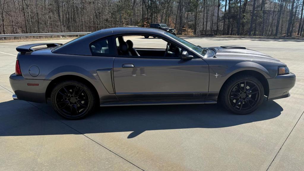 used 2003 Ford Mustang car, priced at $28,000